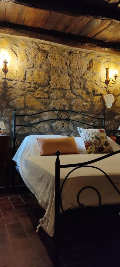 La Chascona Di Farnese Casa Di Tufo Nel Borgo Apartment Ngoại thất bức ảnh