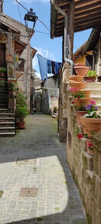 La Chascona Di Farnese Casa Di Tufo Nel Borgo Apartment Ngoại thất bức ảnh
