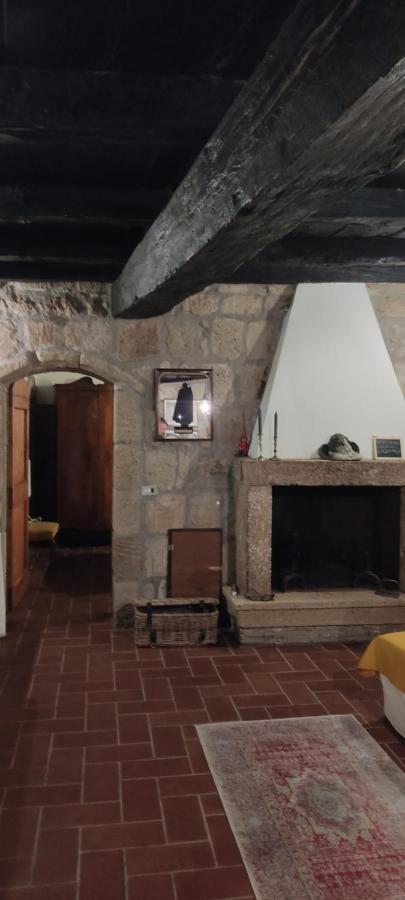 La Chascona Di Farnese Casa Di Tufo Nel Borgo Apartment Ngoại thất bức ảnh