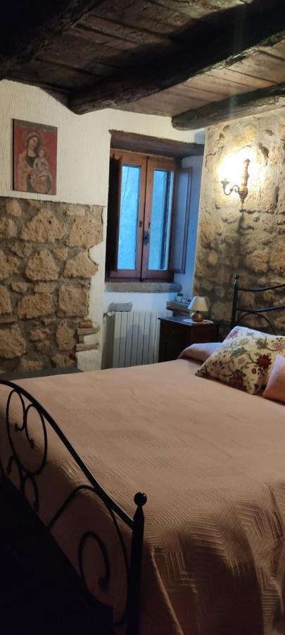 La Chascona Di Farnese Casa Di Tufo Nel Borgo Apartment Ngoại thất bức ảnh