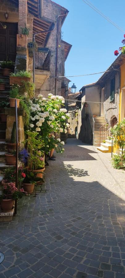 La Chascona Di Farnese Casa Di Tufo Nel Borgo Apartment Ngoại thất bức ảnh